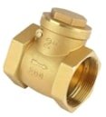 Check Valve